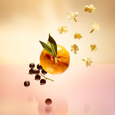 Le Jour se Lève in Parfums et Beauté's Les cadeaux parfums } collections by Louis Vuitton (Zoom produit)