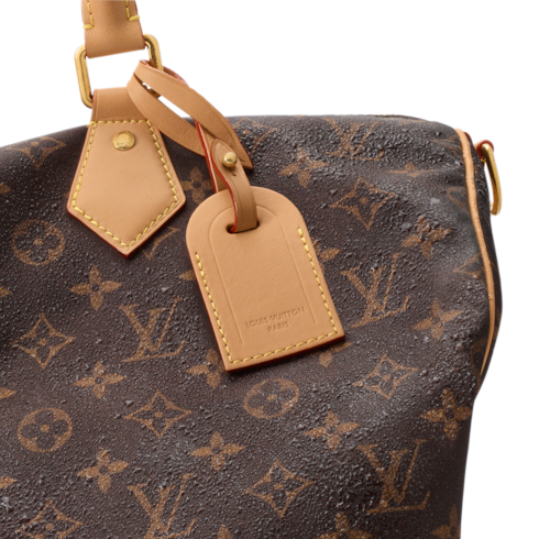 Sac Speedy Bandoulière 40 G76 in Homme's Sacs Tous les sacs collections by Louis Vuitton